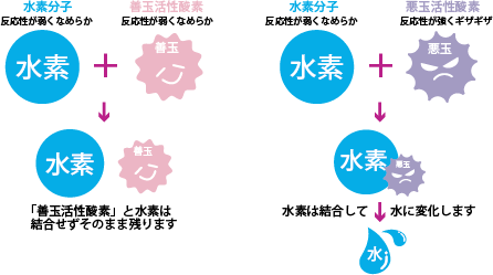 水素の役割について